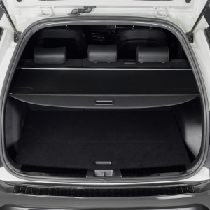 Torres – Actyon Bagaj Pandizotu